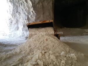 تولید نمک چرم سازی
