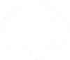 Шаян Соль - логотип